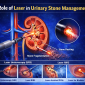 Urinary Stone Management 85x85